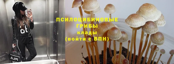 спиды Абаза