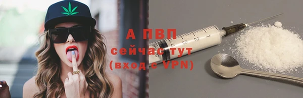 спиды Абаза