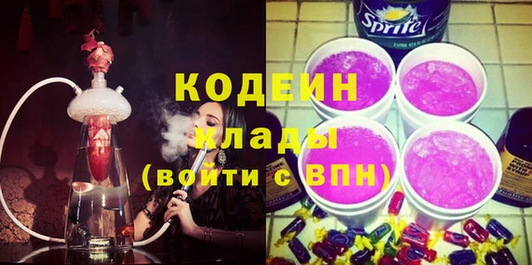 дживик Пересвет