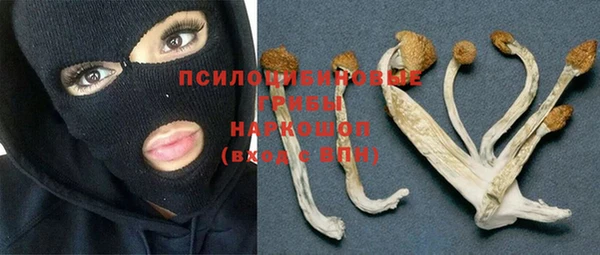 спиды Абаза